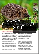State of British Hedgehogs